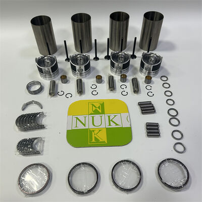 V1702 V1902 Overhaul Rebuild Kit Compatible for Kubota Engine Bobcat 743 733 L2850F L2850DT L2850DTGST